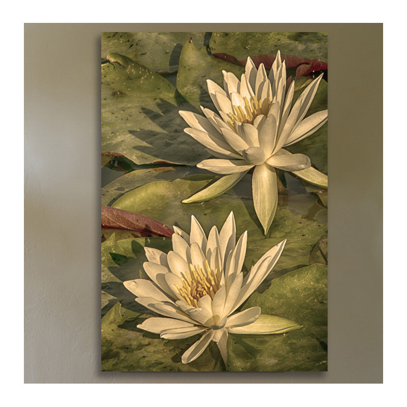 Dano - Wrapped Canvas Print, 46 cm H x 30 cm W x 3 cm D