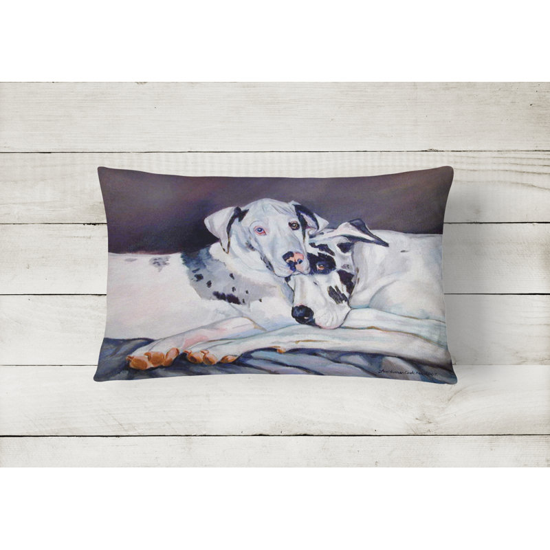 Rectangular Indoor/Outdoor Throw Pillow