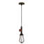 Lushton 1 - Light Bulb Pendant-651889572