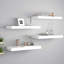 Arsis 4 Piece Metal Floating Shelf-674973546-674973547