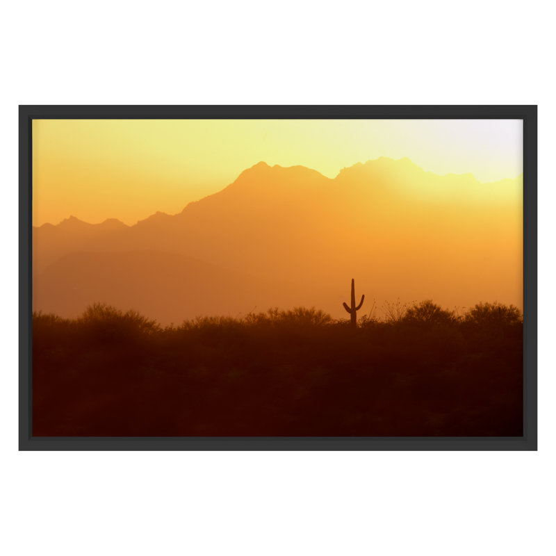 Saguaro National Park, Arizona Print by PhotoDF, Black Single Picture Framed