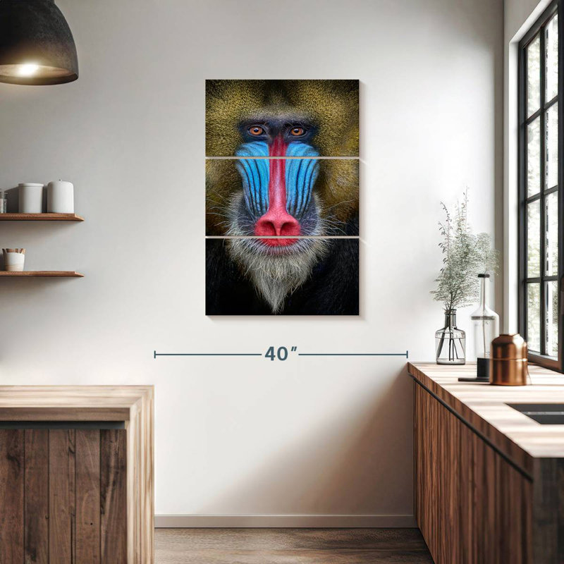 Singe Brampt, H 38 po x l 24 po