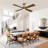 Camran 52'' Ceiling Fan with LED Lights