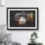 Orangutan Monkey Vol.1 - Picture Frame Painting-62808691-62808694