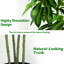 152.4cm Tree