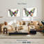 Couleurs de papillon Brampt-107718282