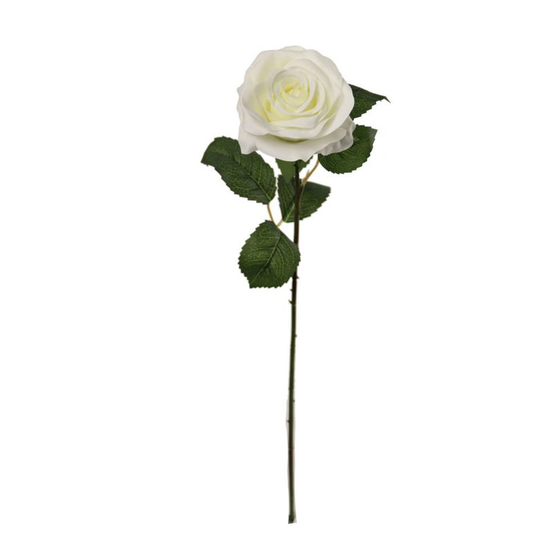 Tige de rose ouverte 20 po - paquet de 12, Blanc