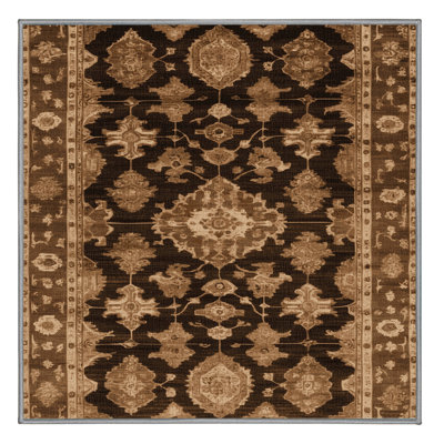 Machine Washable Overdyed Brown Area Rug