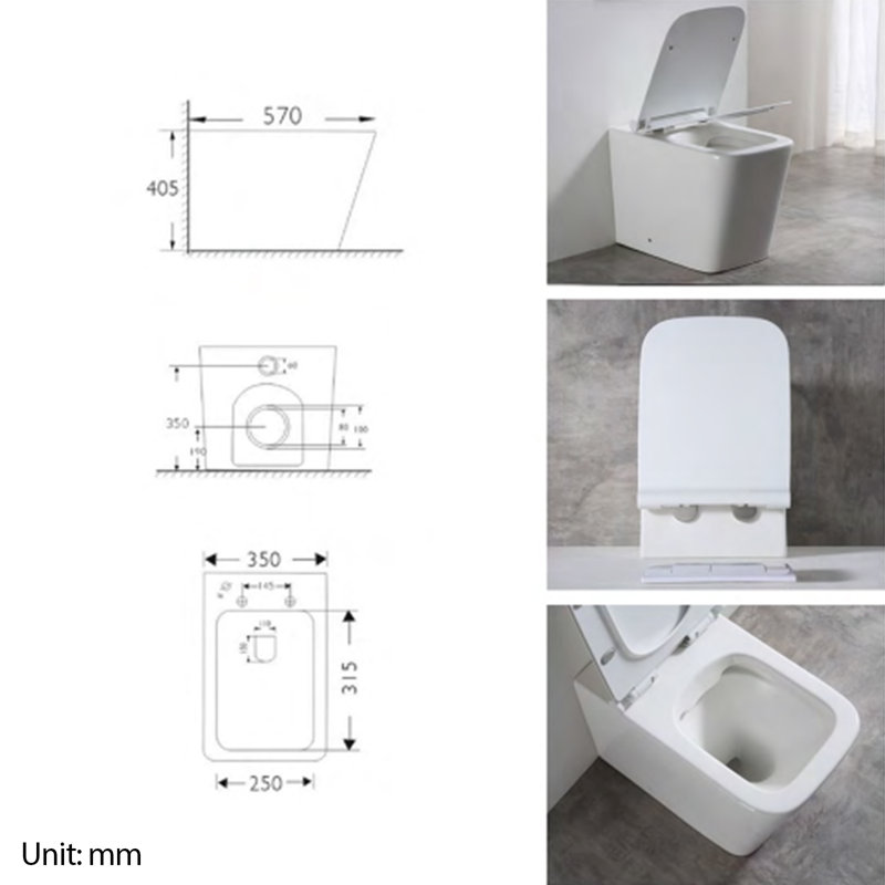 Oran Back-to-Wall Toilet