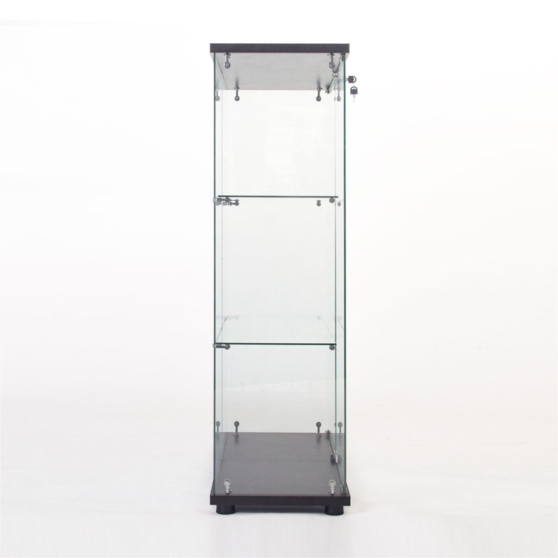 2 Door Glass Display Cabinet, Floor Standing Curio Bookshelf, Black, 49.3" H x 16.7" W x 14.3" D