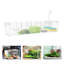 Divergent Rectangle Aquarium Tank