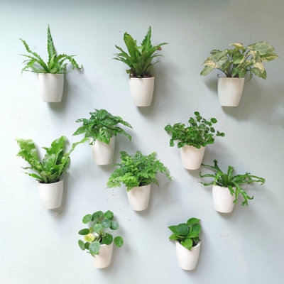 Paquet de 10 pots de fleurs et pots en plastique à arrosage automatique de 4 pouces, support à plante blanche, système vertical de pots muraux hydroponiques modernes pour plantes vivantes, jardin