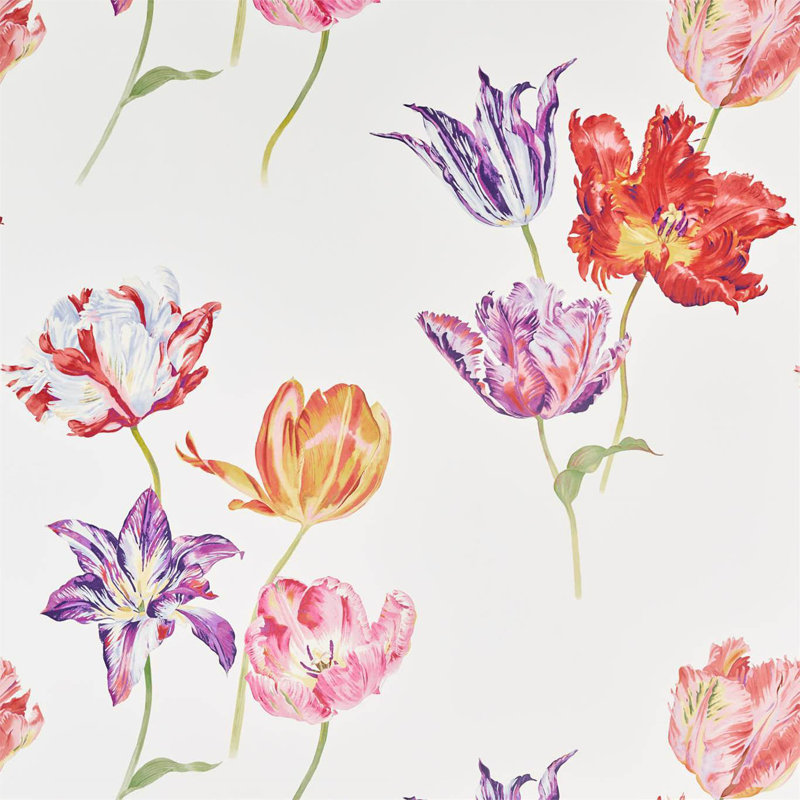 Tulipomania Wallpaper, White/Pink