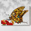 Toile tendue Wings II-Gallery-1184663562