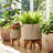 Textured Mesh Outdoor Planters on Stand for Living Room or Patio Display - Modern Ceramic Indoor Flower Pots for Home Decor - Set of 2, Tan-439273864-468497826-468498008
