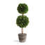 Thisbe Centerpiece in Pot