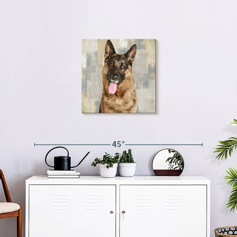 Portrait d'un berger allemand Brampt, H 20 po x l 20 po