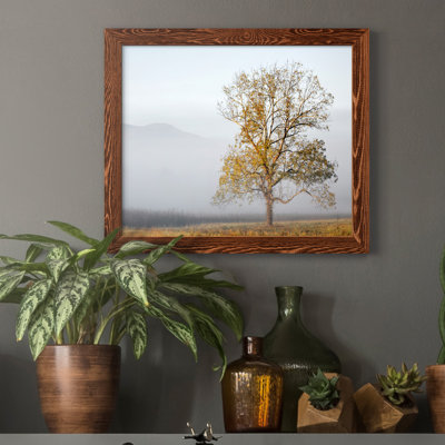 Cades Cove - Impression sur toile