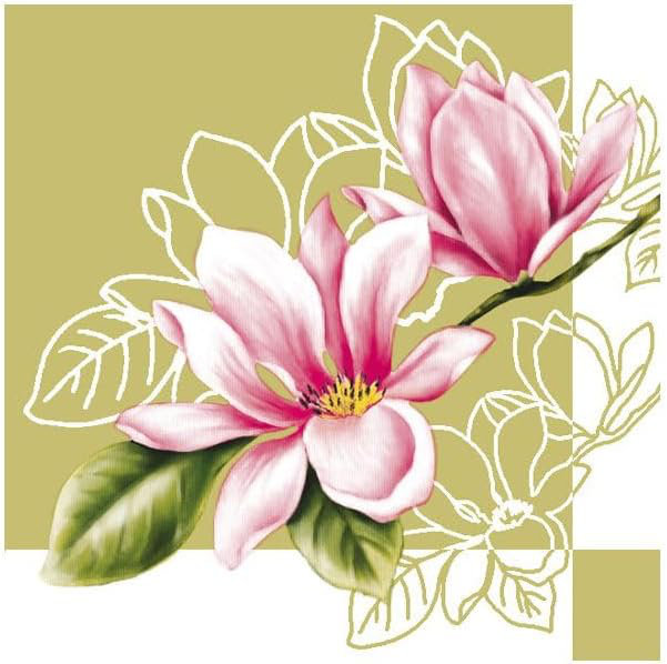 Disposable Paper Napkins, Set of 480