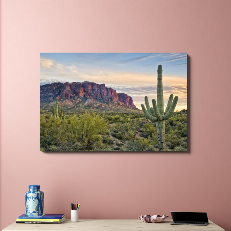 «Cacti View II», photographie sur toile, H 32 po x l 48 po