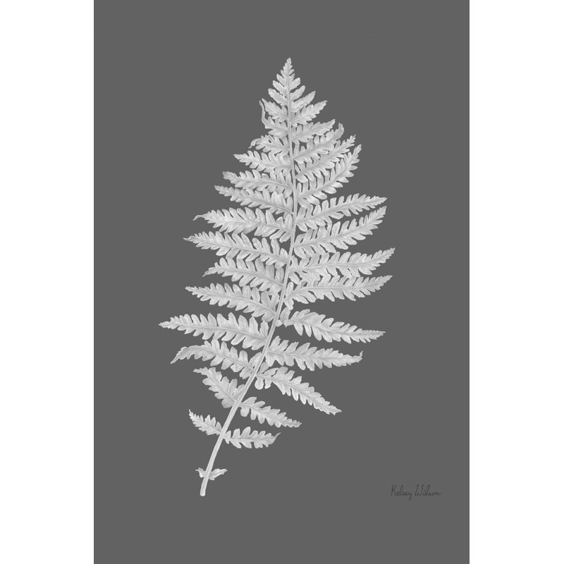Neutre fougère noire I, H 18 po x l 12 po x P 1,25 po, Gris / blanc