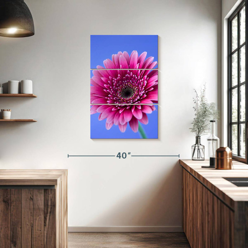 Rose Harnek Gerbera Daisy I, H 38 po x l 24 po
