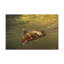 «Trout Hunting Trout on Hunt», reproduction d'art mural-108919164