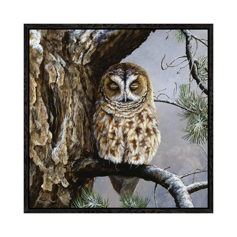Half Asleep - Tawny Owl by Jeremy Paul - Painting on Canvas, 66.04cm H x 66.04cm W x 3.81cm D, Black Framed