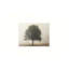 Art mural en toile 24 "x 18" Trees In The Fog
