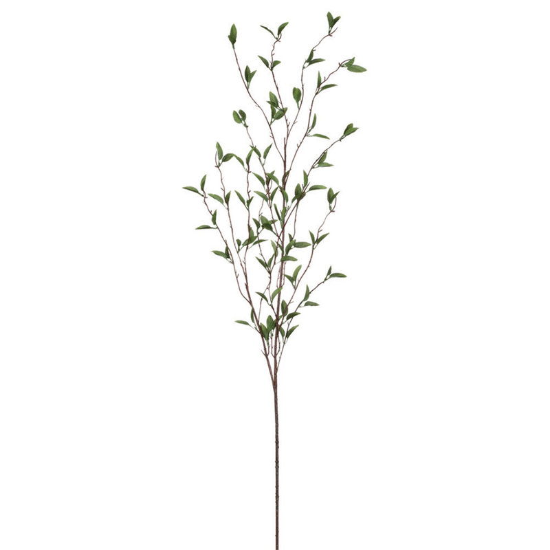 Foliage Arrangement