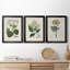 Antique Turpin Botanical IV - Ensemble de 3 peintures sur toile encadrées-1478134885-1478134884