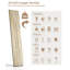 Bertu Wood Floating Shelf