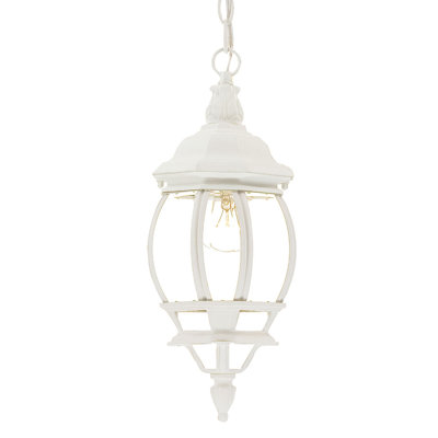 Zuckerman Outdoor Hanging Lantern