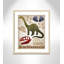 Adhésif décoratif dinosaures-03 '-47836225-47836235