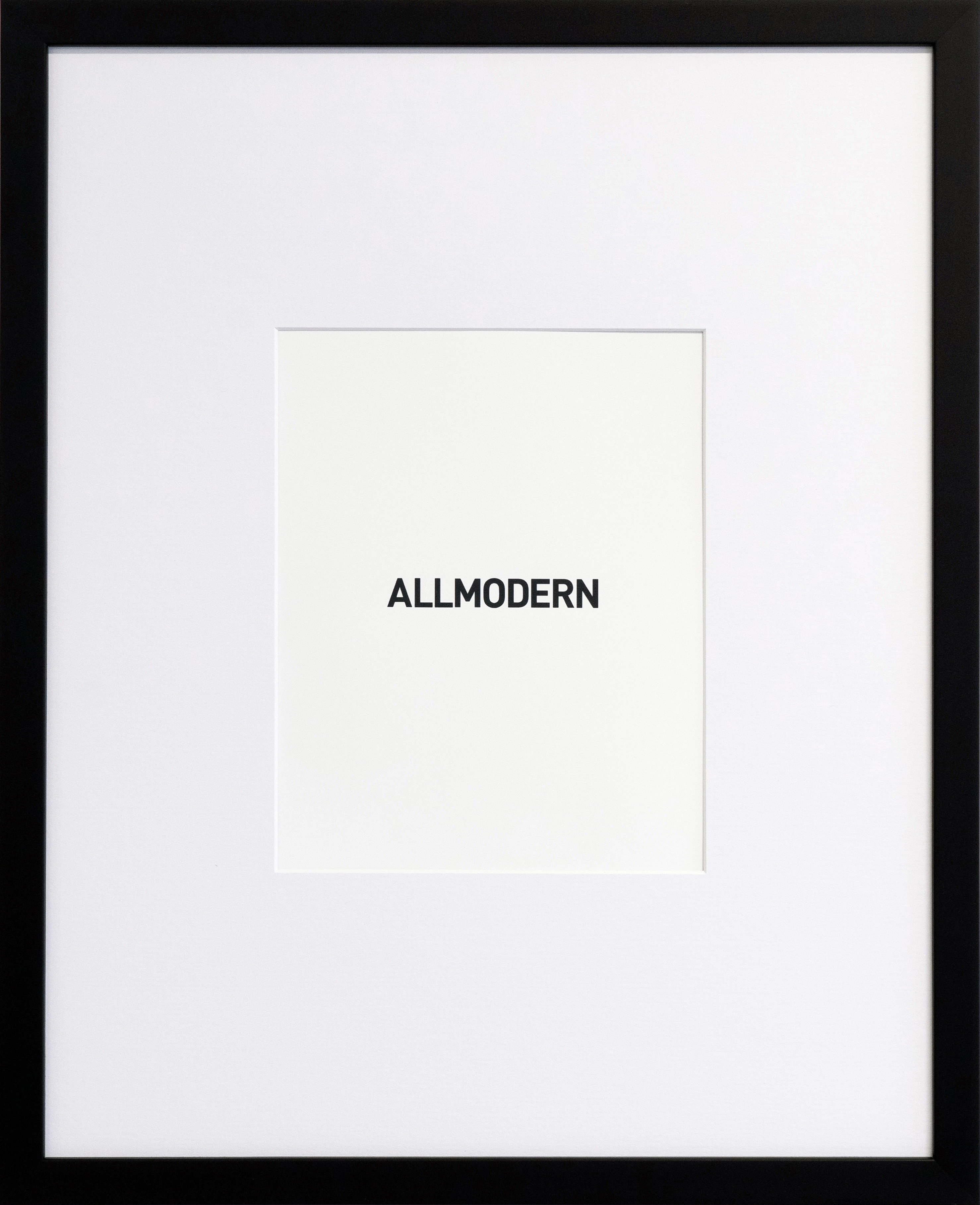 Capullo Gallery Matte Wood Picture Frame & Reviews | AllModern