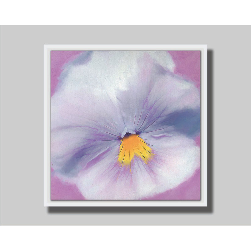 Pansy par Hal Halli. Estampe numérique, H 30,5 po x l 30,5 po, Impression encadrée sans passe-partout, Blanc