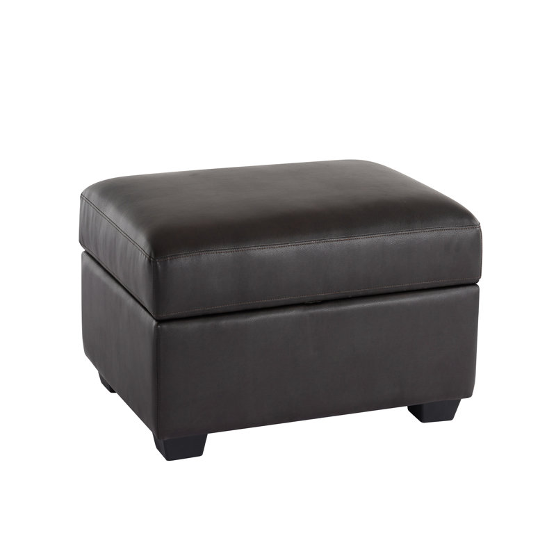 Repose-pieds en similicuir avec rangement, repose-pieds, Chocolat