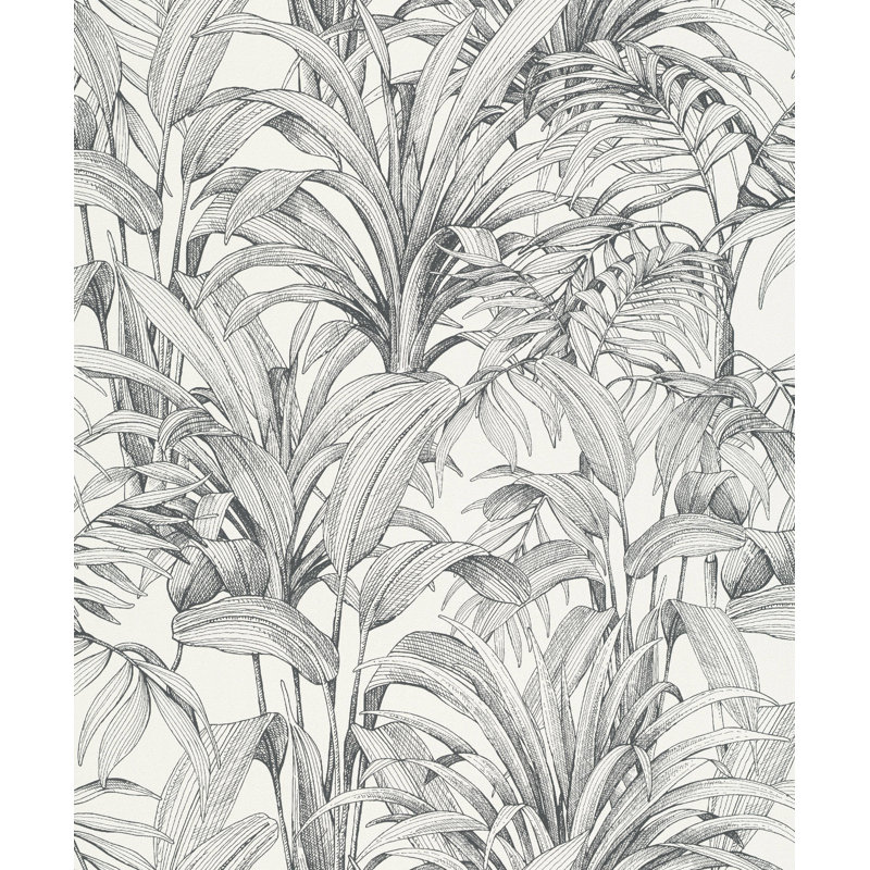 Rouleau de papier peint L 33 pi x l 21 po Asperia, Noir / blanc