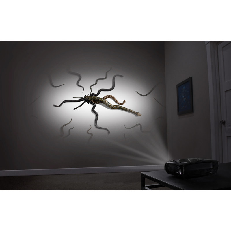 Décoration numérique d’Halloween à 2 DVD d’atmosfx