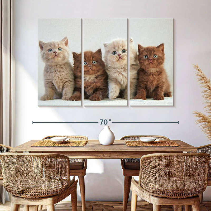 Brampt British Shorthair Cats, 42" H x 65" W