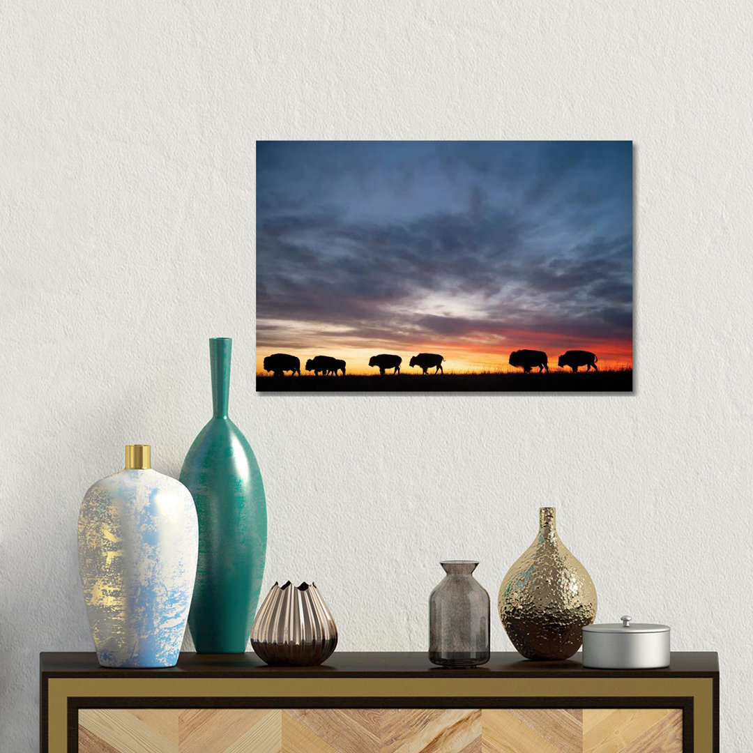 A Silhouette Of A Herd Of Bison And Sunset Near Valentine, Nebraska von Joel Sartore - Gallery-Wrapped Canvas Giclée on ...