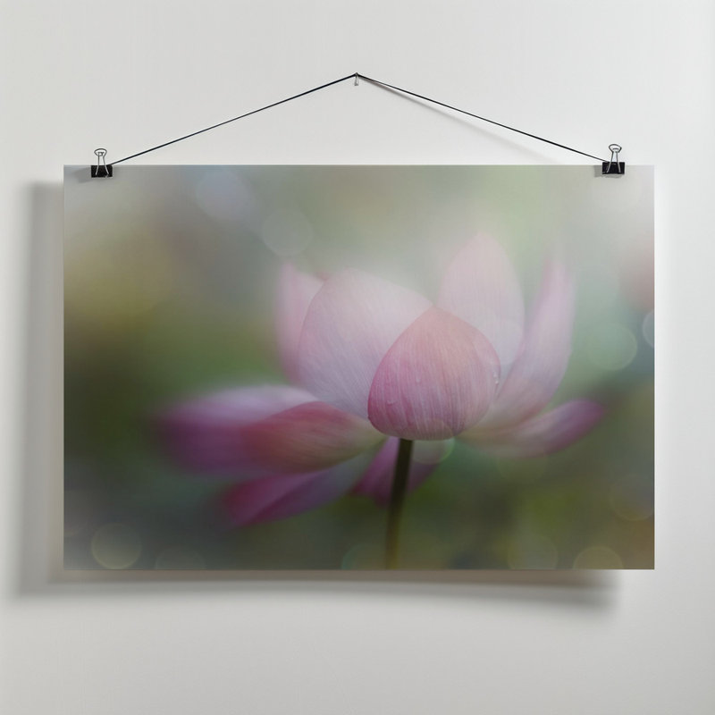 Wrapped Canvas Print, 60.96 cm H x 91.44 cm W