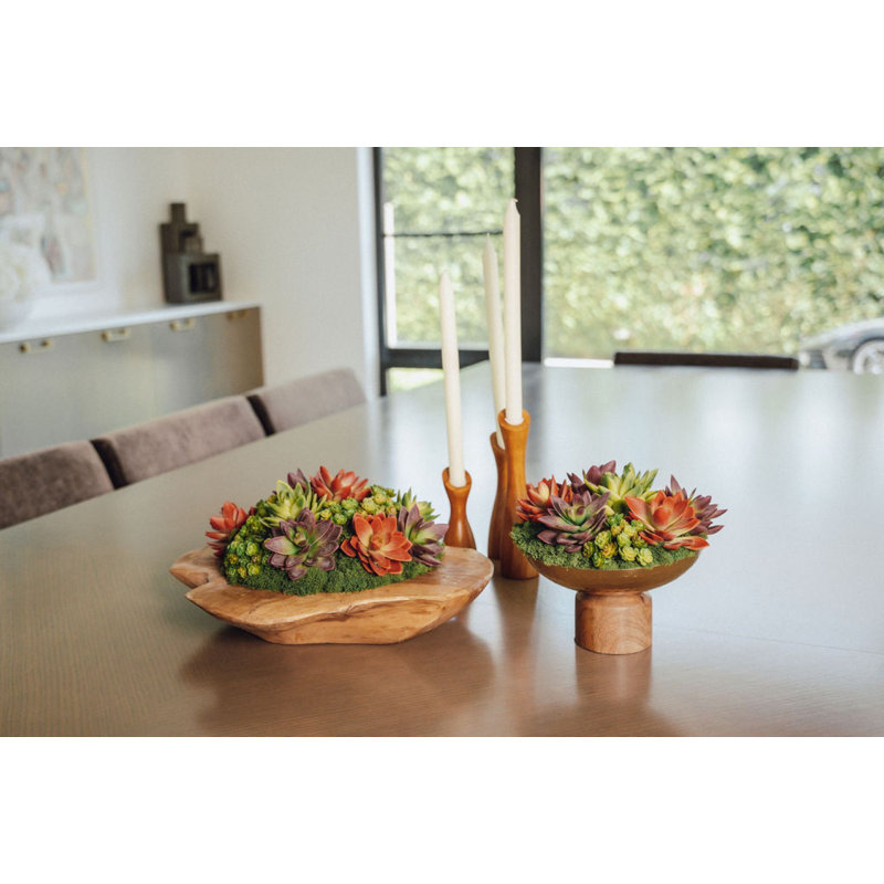 Arrangement de piédestal en bois Timeless Living