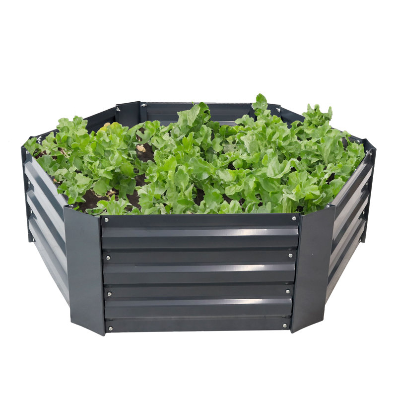 Irick Hexagon Galvanized Steel Raised Garden Bed - 40.5" x 36" x 11.75" - Dark Gray, Dark Gray
