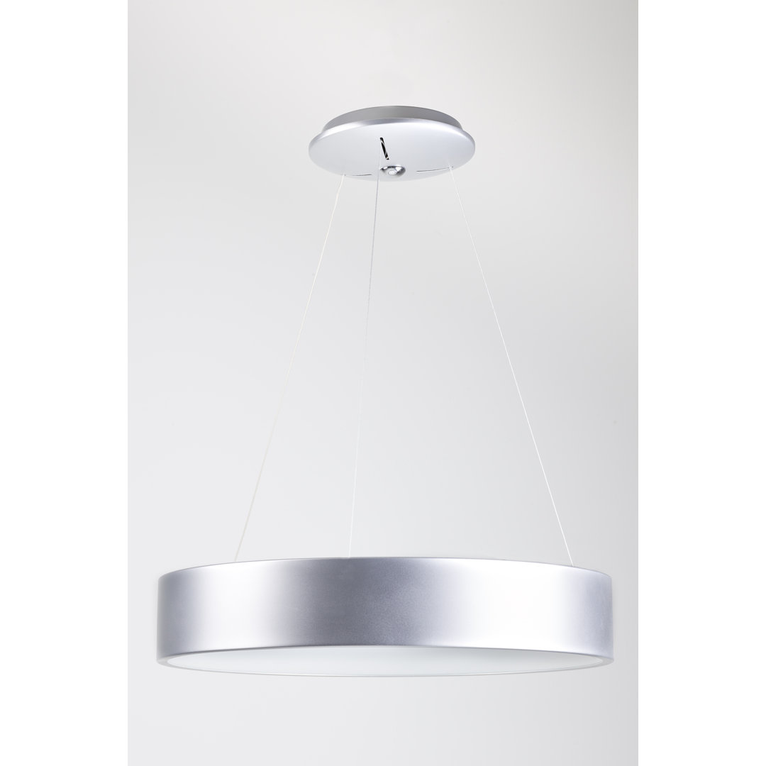 Portola 1 - Light LED Unique/Statement Pendant