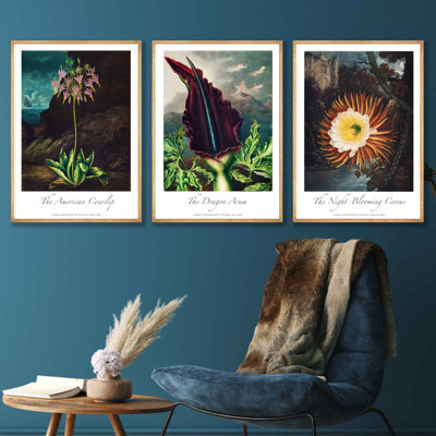 Vintage Exotic Flowers Botanical 3 Piece Painting