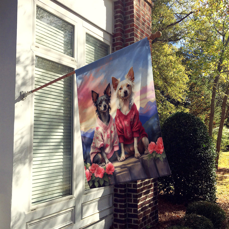 Drapeau pour chien double face H 40 po x l 28 po