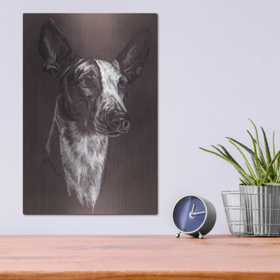 " Ibizan Hound " by Barbara Keith