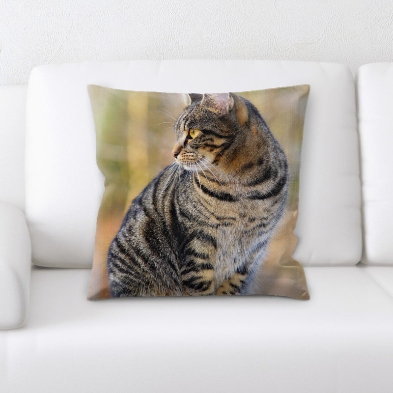Coussin pour chat