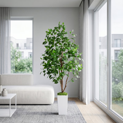 Ficus artificiel 6 pi avec pot blanc, faux arbre d'intérieur réaliste (ficus artificiel)